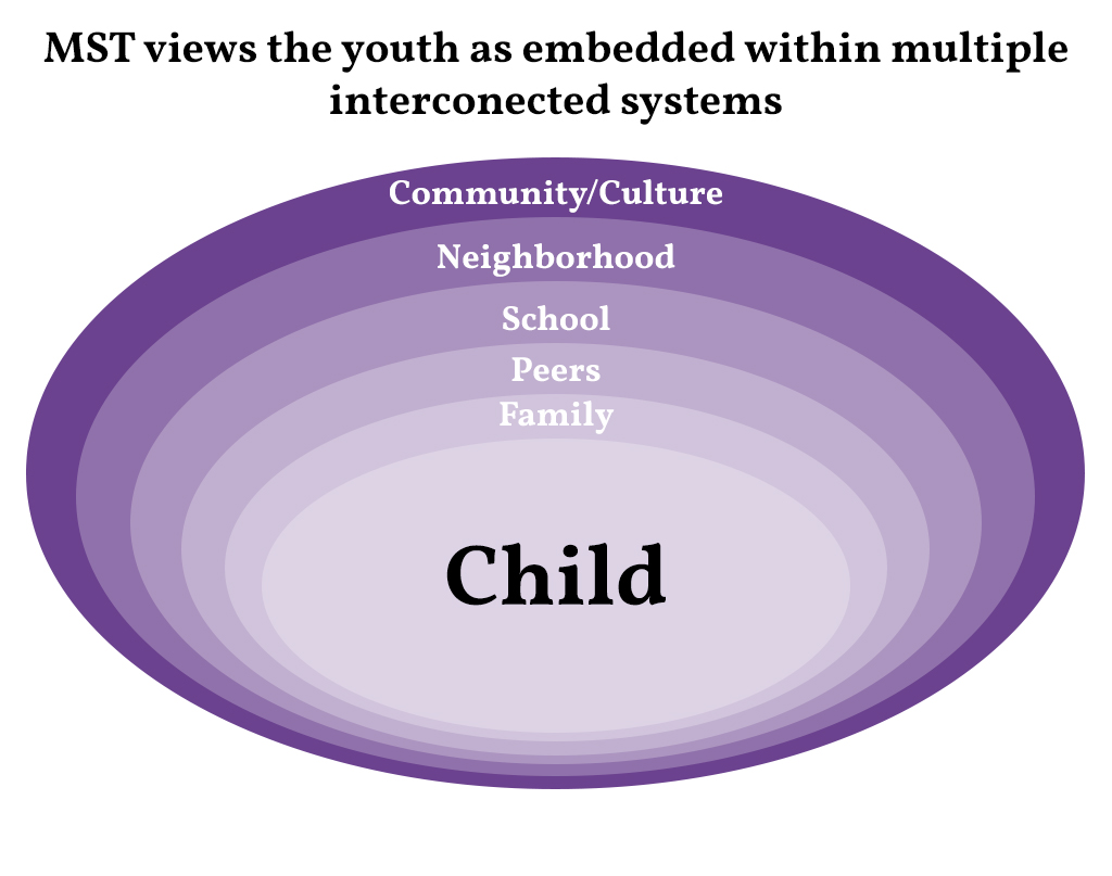 Graphic showing childs interconnected systems